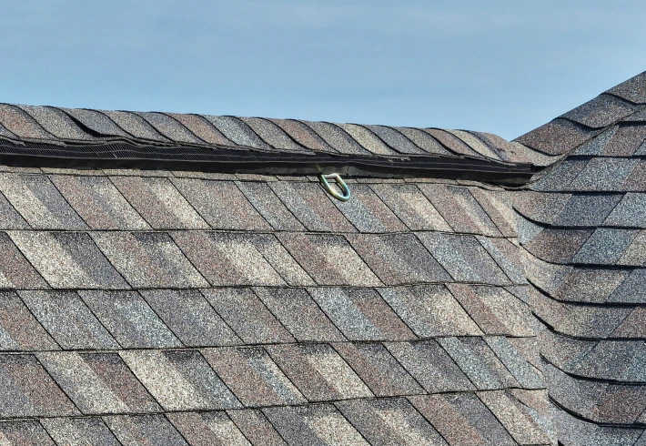 Speedy Shingle Service™